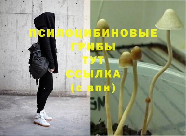 MDMA Premium VHQ Аркадак