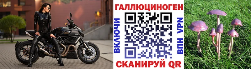 Псилоцибиновые грибы мухоморы  Купить где  Дегтярск 