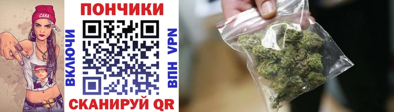 Конопля SATIVA & INDICA  Купить  Дегтярск 